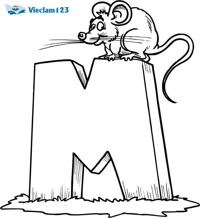 1000 từ vựng tiếng Anh thông dụng