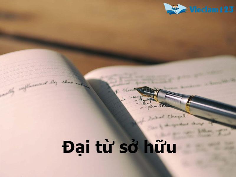 đại từ sở hữu đại từ sở hữu