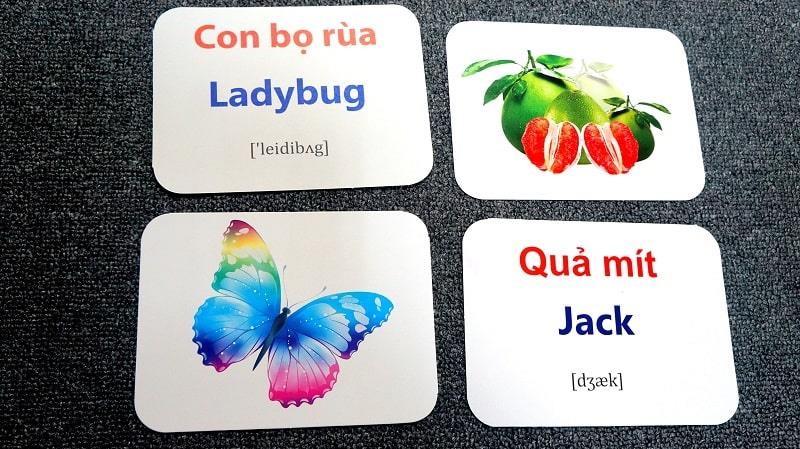 Hình ảnh là thứ cần thiết trên flashcard