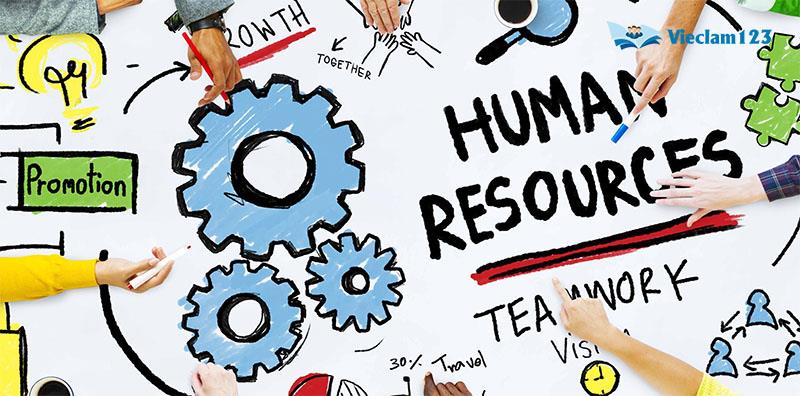  HR là gì