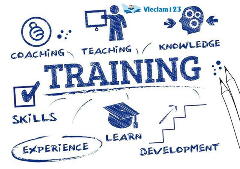 Training là gì