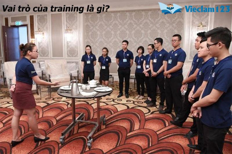 Training là gì