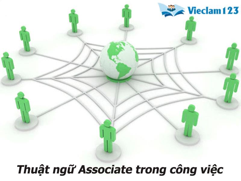  Associate là gì