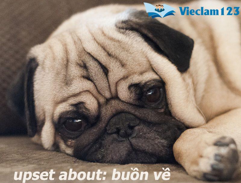 Tính từ tiếng Anh Tính từ tiếng Anh