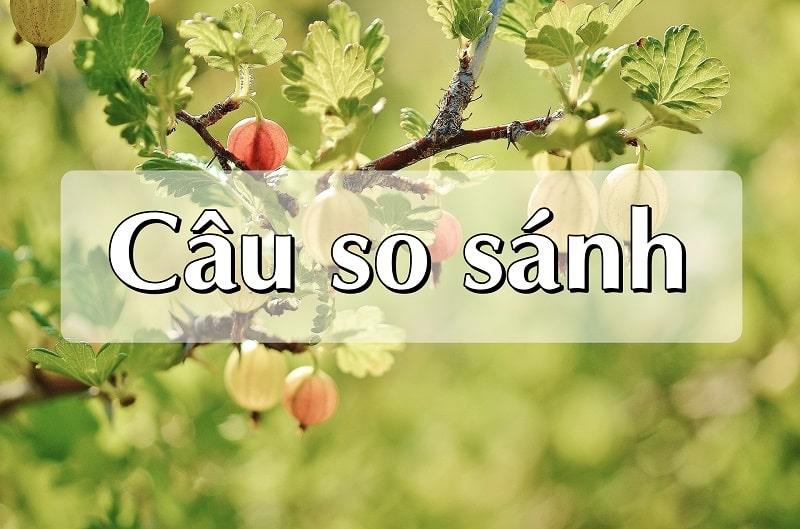 As được sử dụng nhiều trong câu so sánh