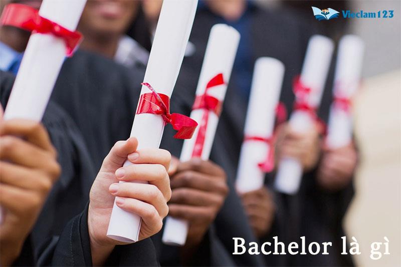 Bachelor là gì Bachelor là gì