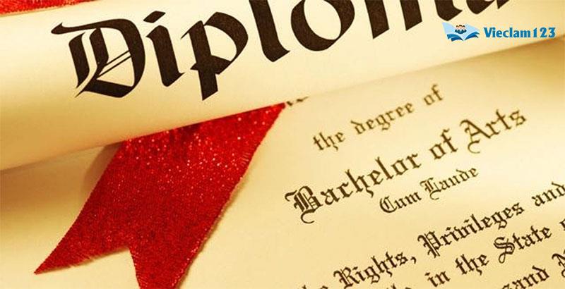 Bachelor là gì Bachelor là gì