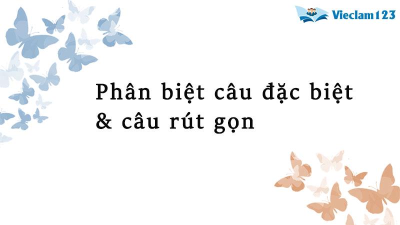 Câu đặc biệt là gì