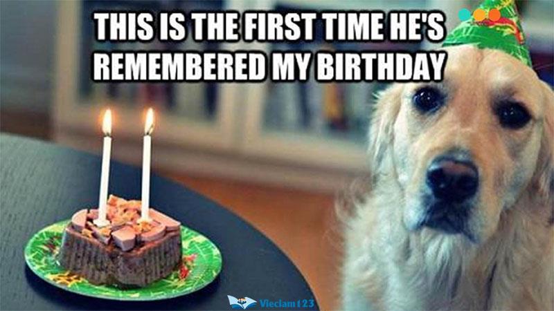 cấu trúc This is the first time cấu trúc This is the first time