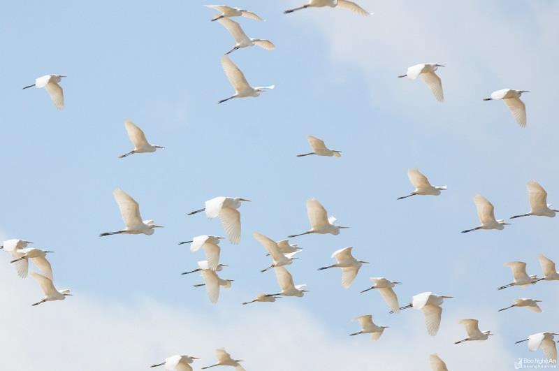 Phân tích bài sang thu của Hữ Thỉnh Phân tích bài sang thu của Hữ Thỉnh