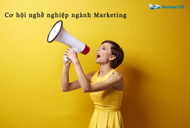 Cơ hội nghề nghiệp ngành Marketing Cơ hội nghề nghiệp ngành Marketing