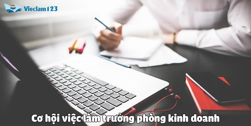 Cơ hội việc làm trưởng phòng kinh doanh