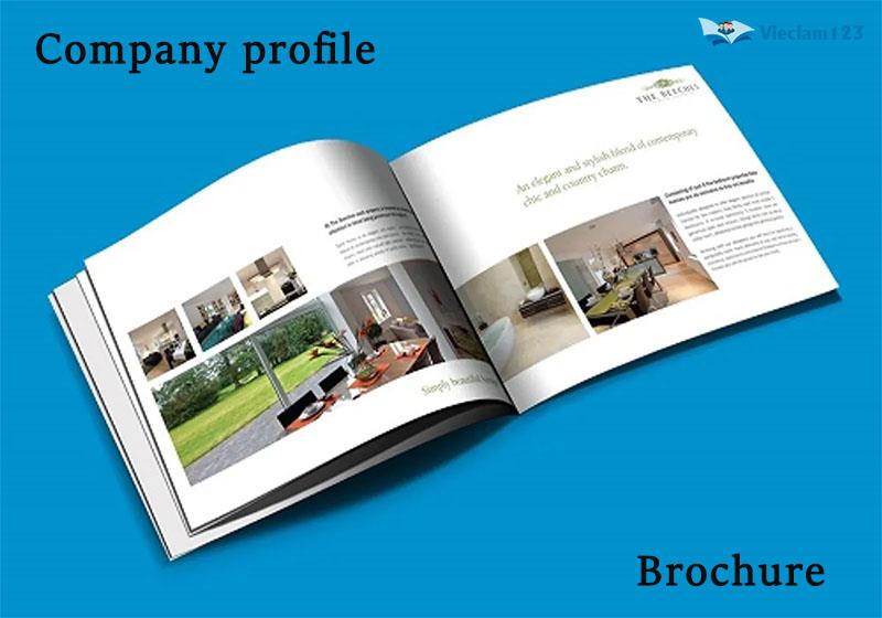 Company Profile là gì Company Profile là gì