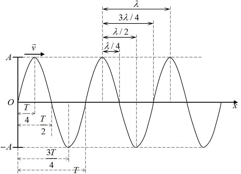 phương trình dao động của sóng nguồn trong sóng cơ học