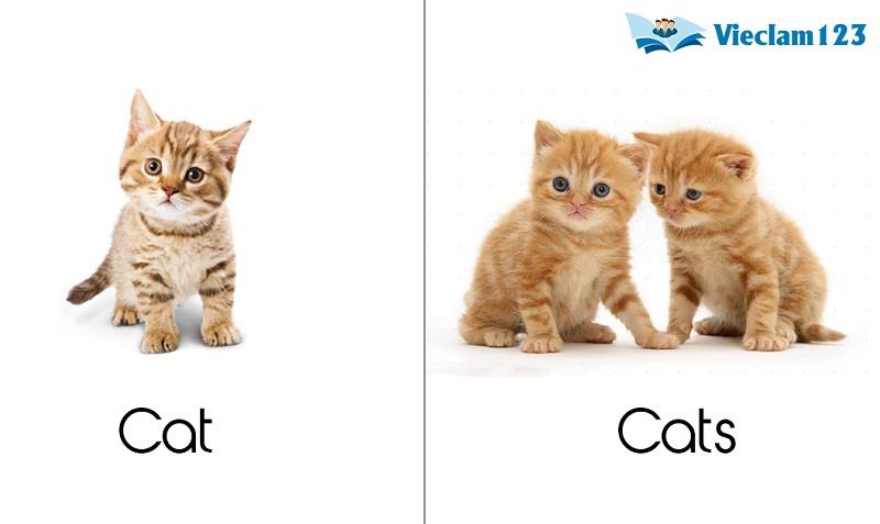 Danh từ số ít và danh từ số nhiều Danh từ số ít và danh từ số nhiều