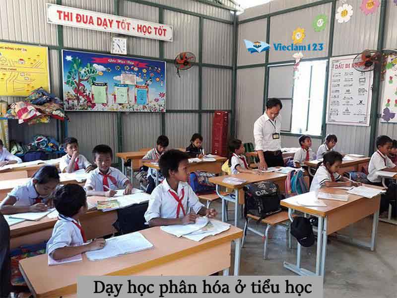 dạy học phân hóa ở tiểu học