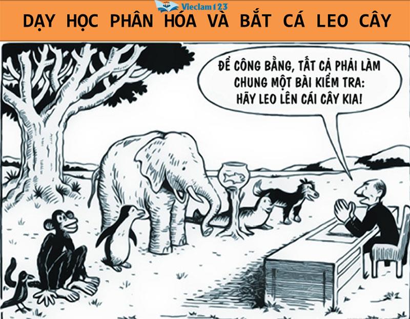 dạy học phân hóa ở tiểu học