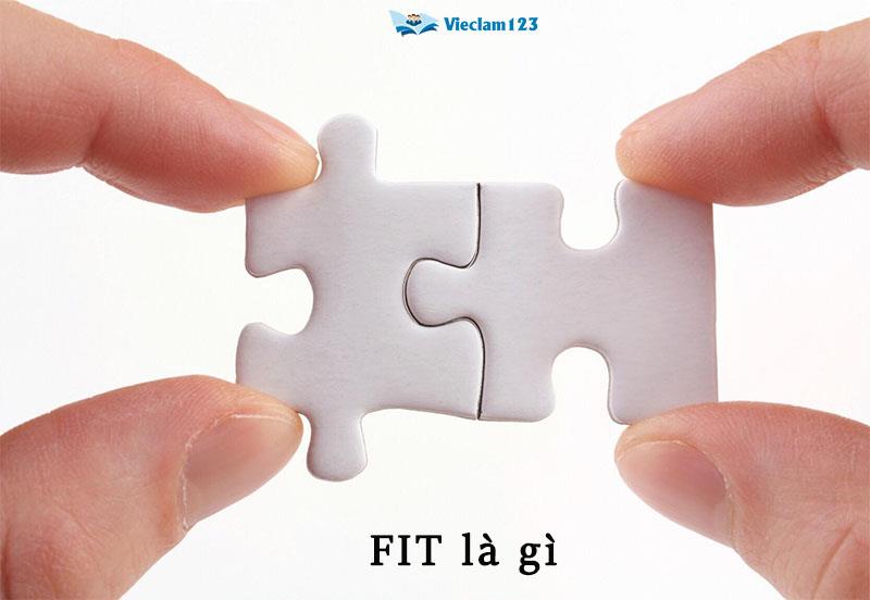 Fit là gì? Tìm hiểu về thuật ngữ FIT trong ngành du lịch – Vieclam123
