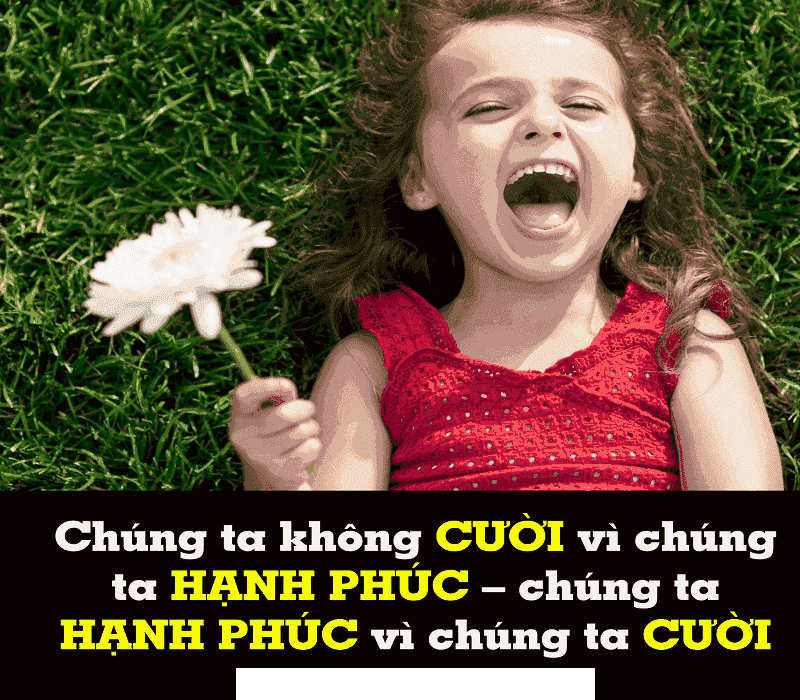 giá trị nụ cươi về mặt xã hội