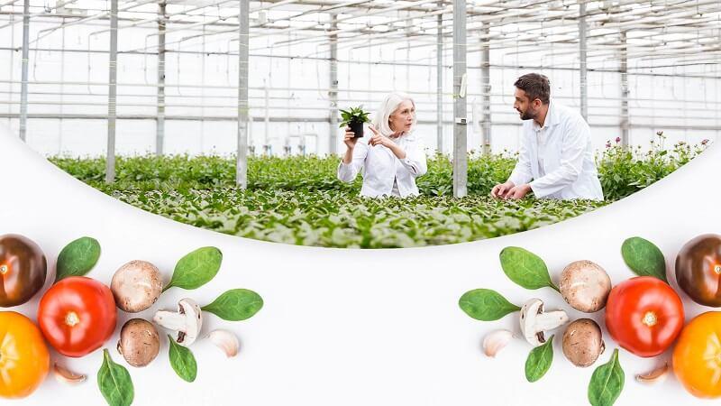 Hãy cho chúng tôi biết HACCP có nghĩa là gì?