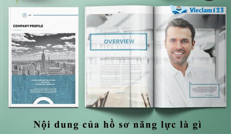 Hồ sơ năng lực tiếng Anh là gì Hồ sơ năng lực tiếng Anh là gì