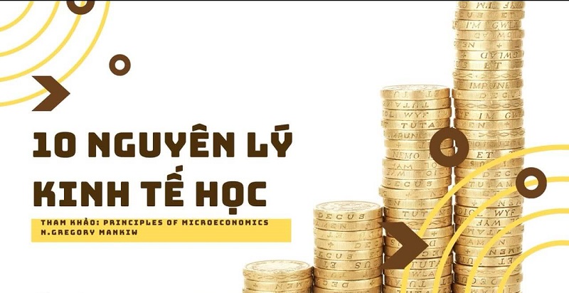 Chi phí thực tế bao gồm cả chi phí cơ hội