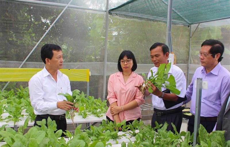 Các tiêu chí để áp dụng 4 xanh vào doanh nghiệp