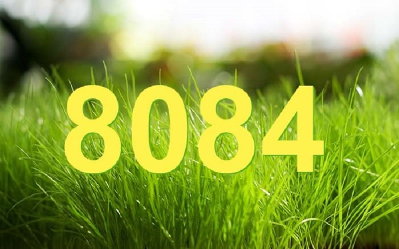 Nguồn gốc ra đời của 8084