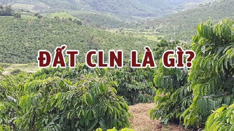Bạn có biết đất CNL là đất gì không