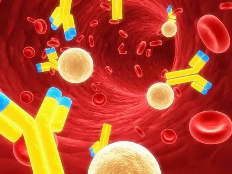 Dinh dưỡng cho người có nhóm máu A+