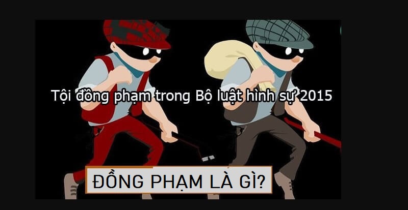 Tìm hiểu về khái niệm đồng phạm