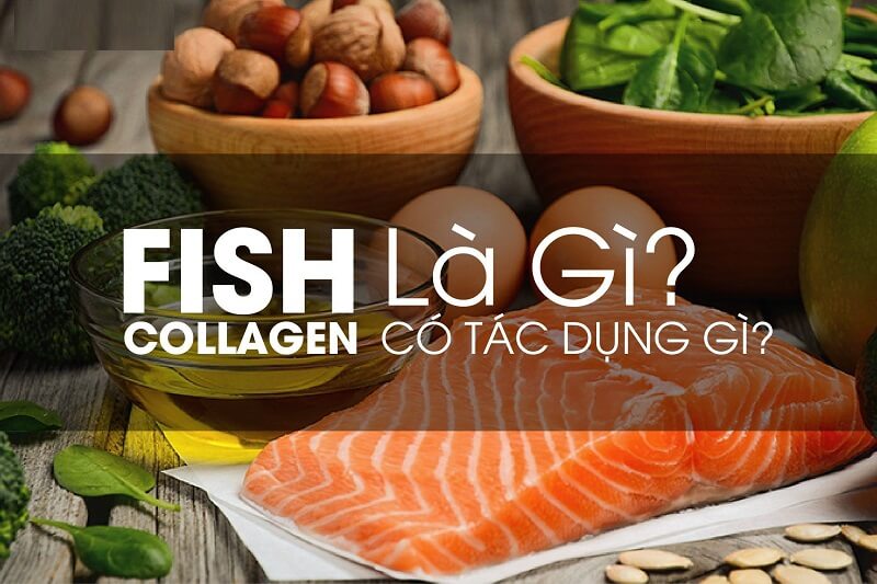 Khái niệm Fish collagen hiểu như thế nào