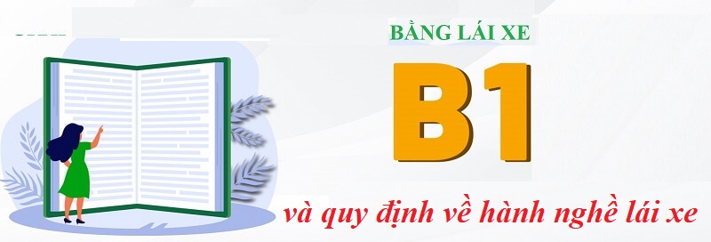 Giải đáp: có bằng B1 có thể lái xe cho công ty hay không