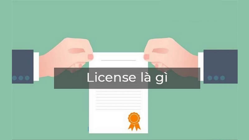 License là gì?