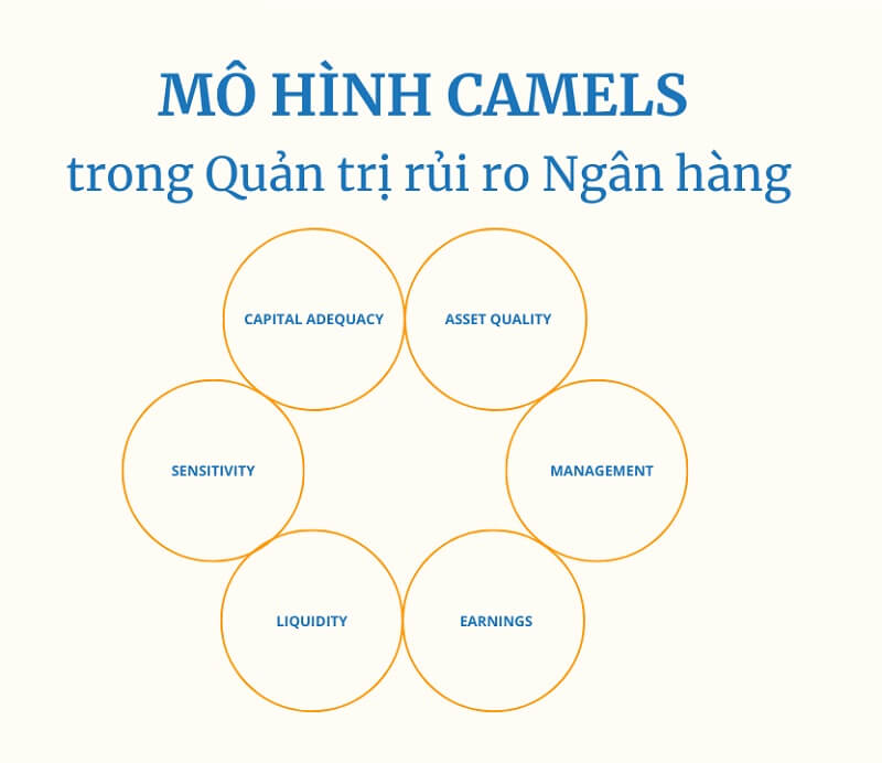 Hệ thống các yếu tố thể hiện chất lượng tín dụng của ngân hàng