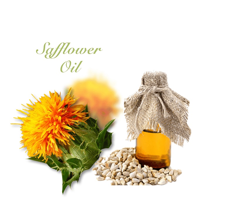 Safflower oil là gì