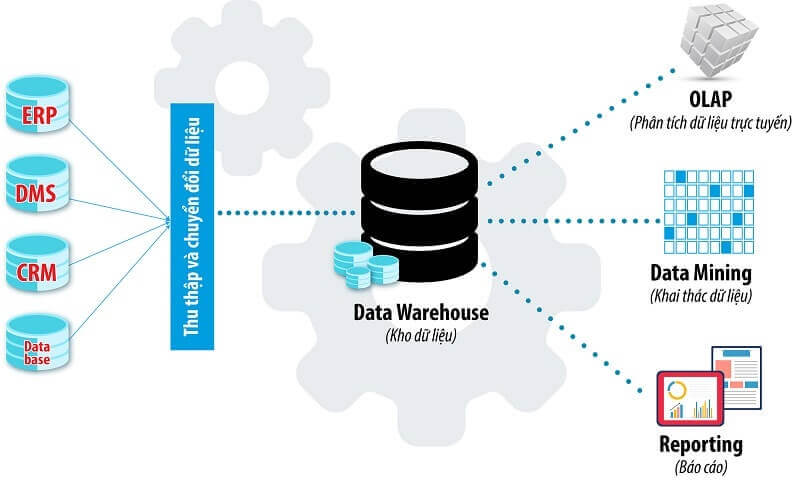 Sự tác động của báo cáo BI