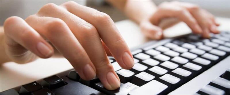 Chi nhánh trong CV có những nội dung nào như thế nào?