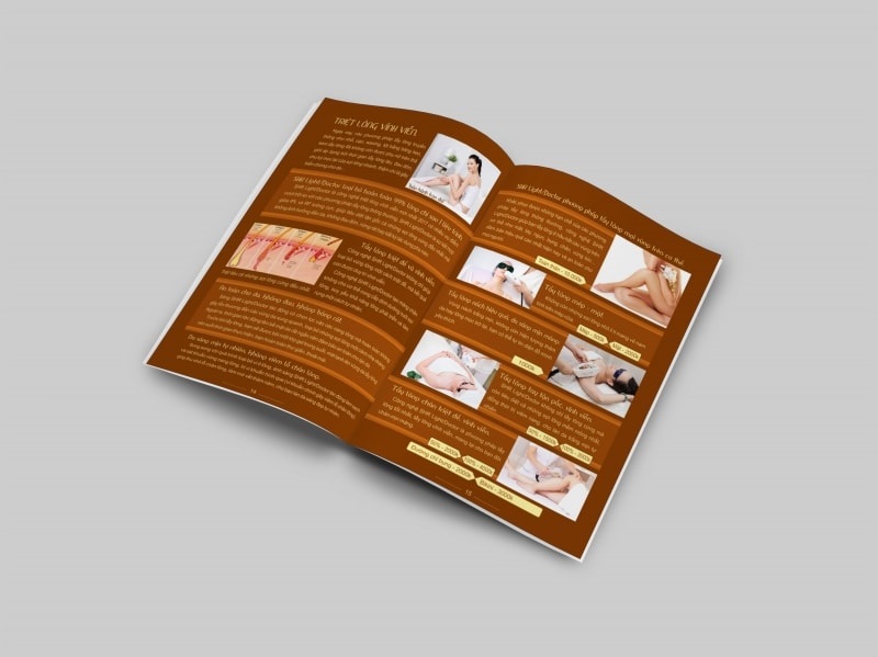 Ấn phẩm thu hút