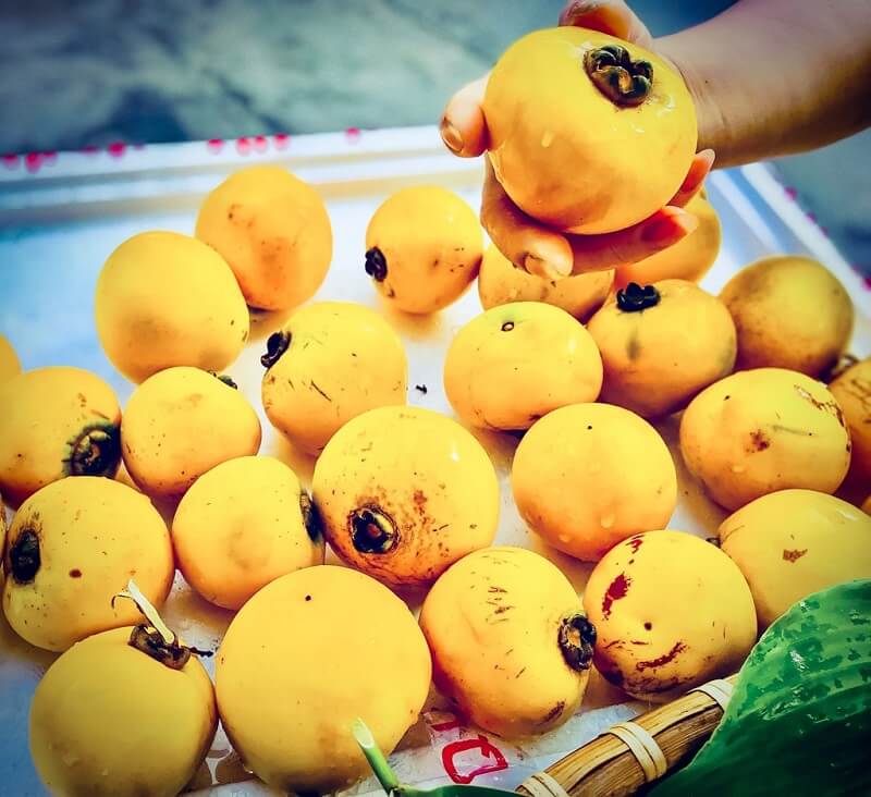 Những cơ sở giúp ăn quả thị đúng cách