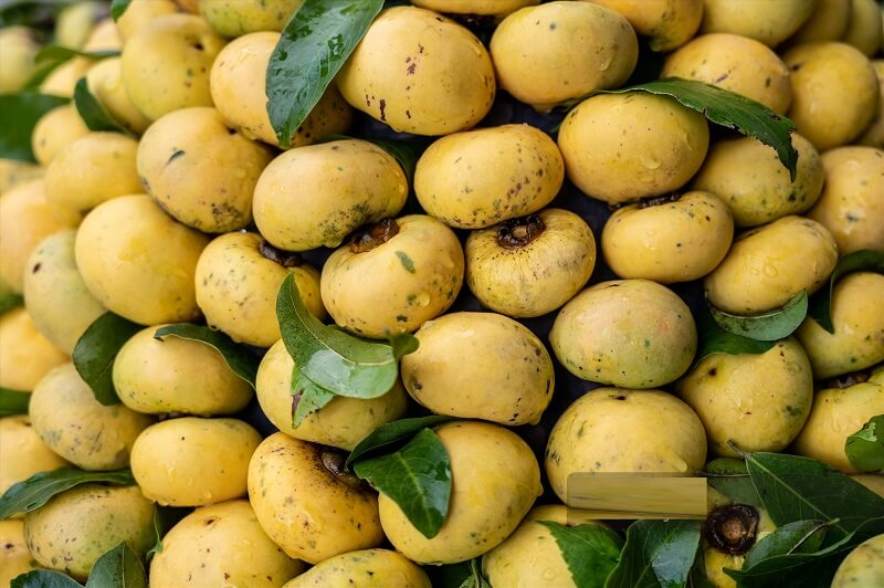 Khi nào chúng ta có thể ăn được quả thị