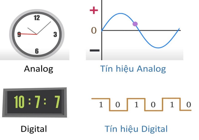 Đặc điểm nổi bật của Analog