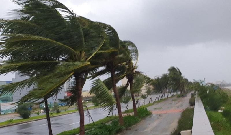 Những ảnh hưởng xấu mà gió đem lại