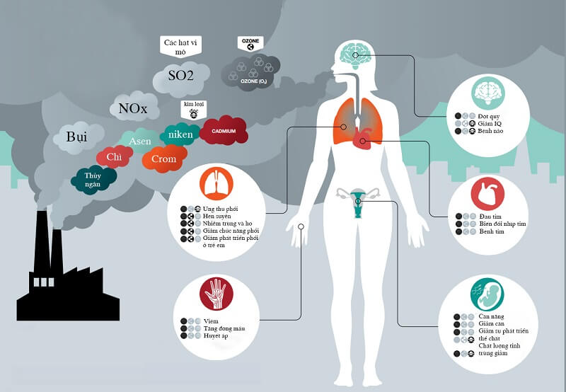 Ô nhiễm không khí ảnh hưởng nghiêm trọng đến hệ hô hấp ở người