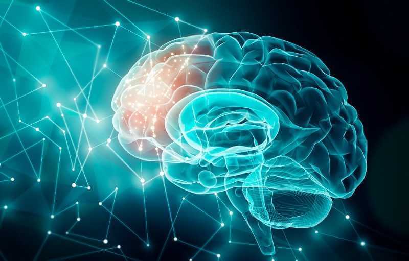 Cải thiện chức năng não bộ