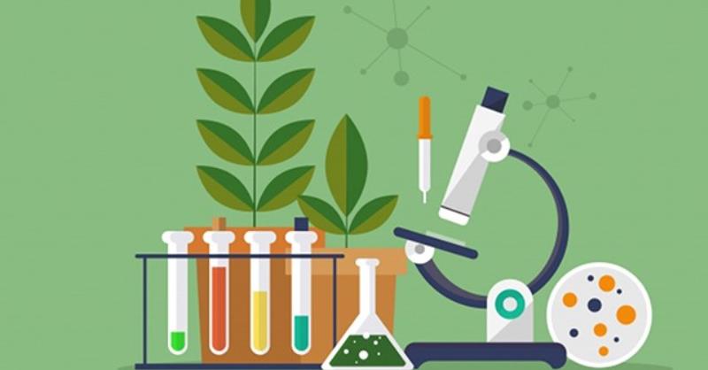 Quá trình tổng hợp năng lượng ATP