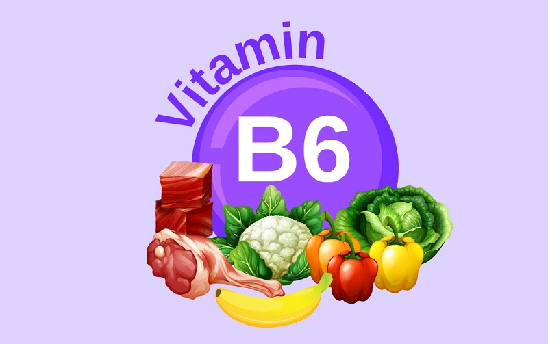 B6 giúp cho việc chuyển hóa các chất dễ dàng hơn