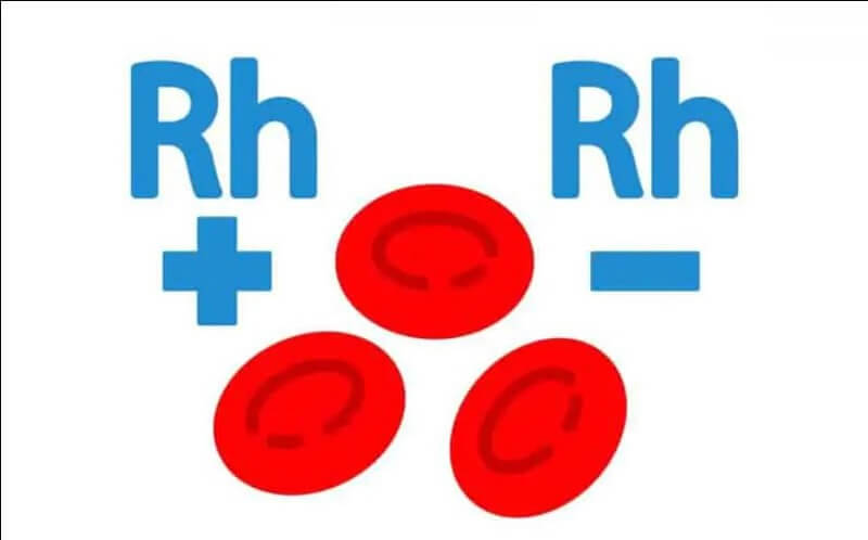 Đặc điểm bản chất của người có nhóm máu b+