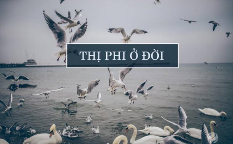 Bạn có biết thị phi là gì