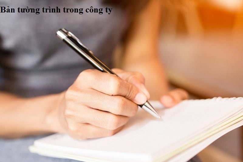 Bản tường trình trong công ty